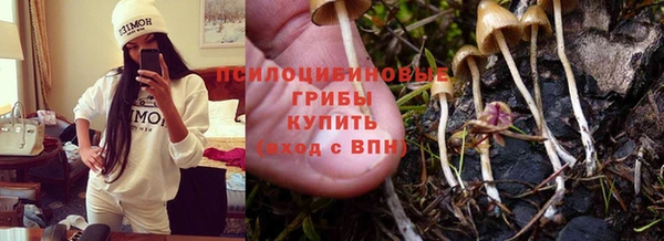 спайс Белоозёрский