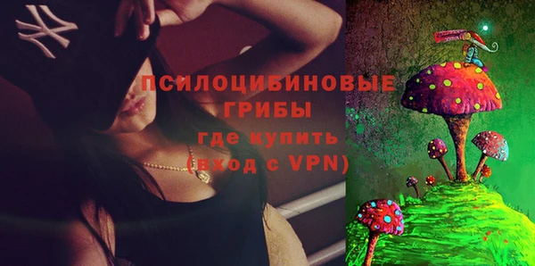 трава Беломорск